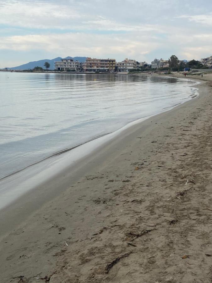 Marouka Διαμέρισμα *
